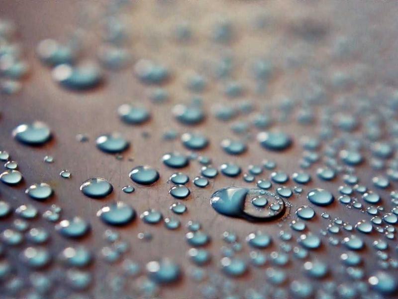 鼻尖上的雪<br>hzldzsi.cn 冬日冷冽气息